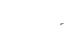 American Airlines logo