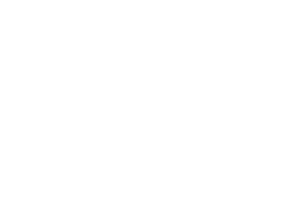 LG logo