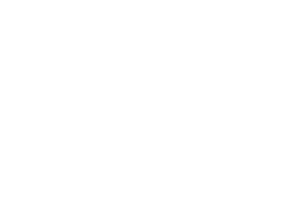 NEC logo